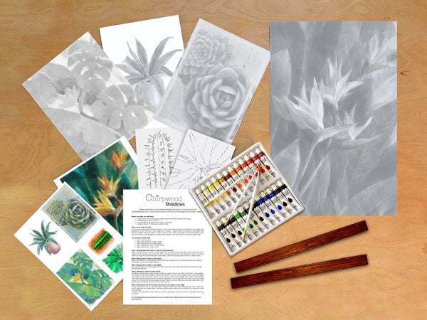 Chirpwood Shadows Multi-Canvas Art Kit: Succulents Paint Kit Paint by Shadows Paint by Numbers Alternative